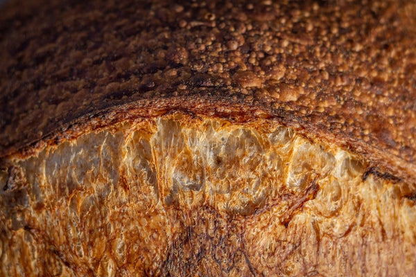 Sourdough Bread: The Art of Traditional Baking