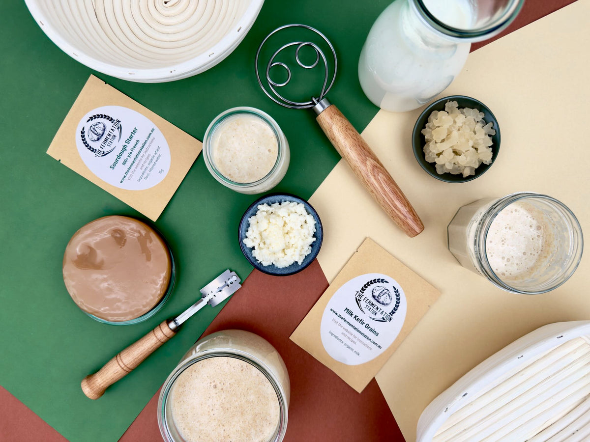 various fermentable cultures, sourdough stater, milk kefir grains, water kefir grains and kombucha scoby
