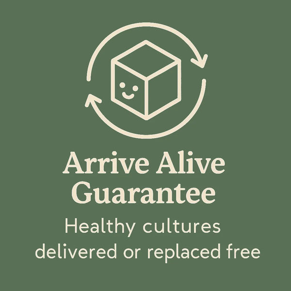 Cream line art smiling parcel with circular arrows on green background with text Arrive Alive Guarantee – Healthy cultures delivered or replaced free.