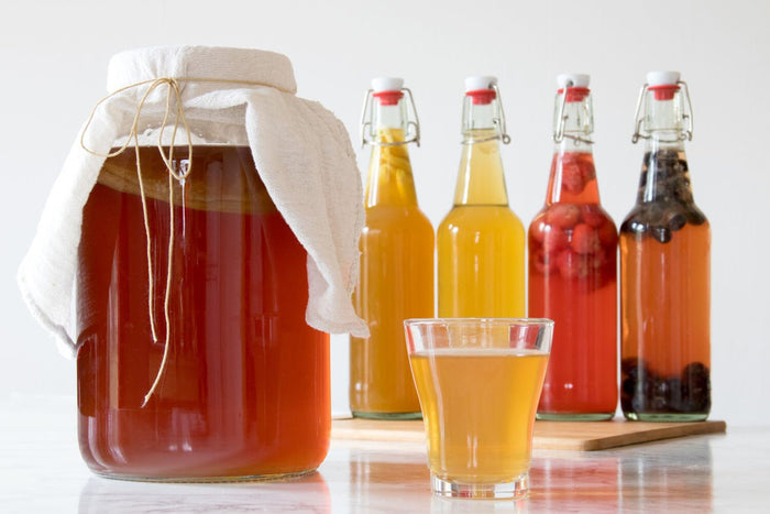 Kombucha Scoby – The Fermentation Station