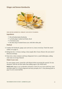 The Complete Beginner's Guide to Kombucha & Jun - Digital eBook