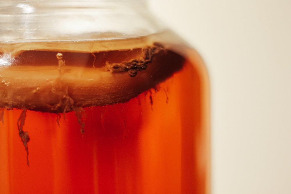 kombucha scoby growing in jar