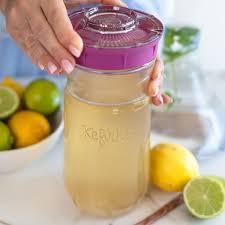 Large Kefirko Ginger Beer Plant Kit