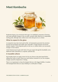 The Complete Beginner's Guide to Kombucha & Jun - Digital eBook