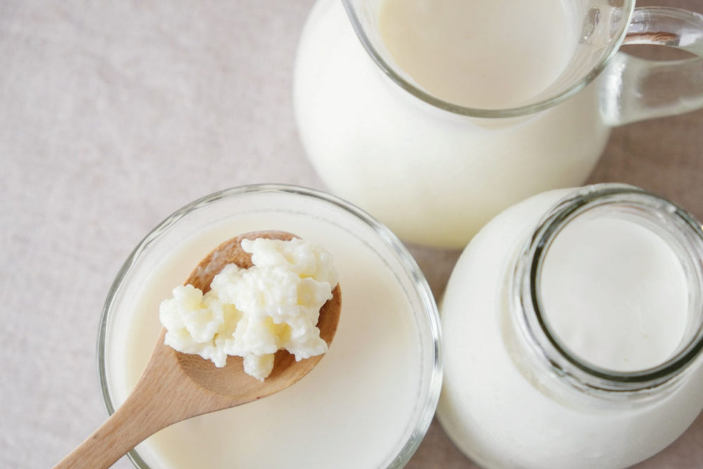 spoon of milk kefir grains sitting over finished kefir