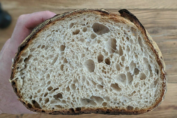 loaf of sourdough bread cut open view