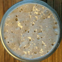 top down view of a bubbling sourdough starter  on a wooden board