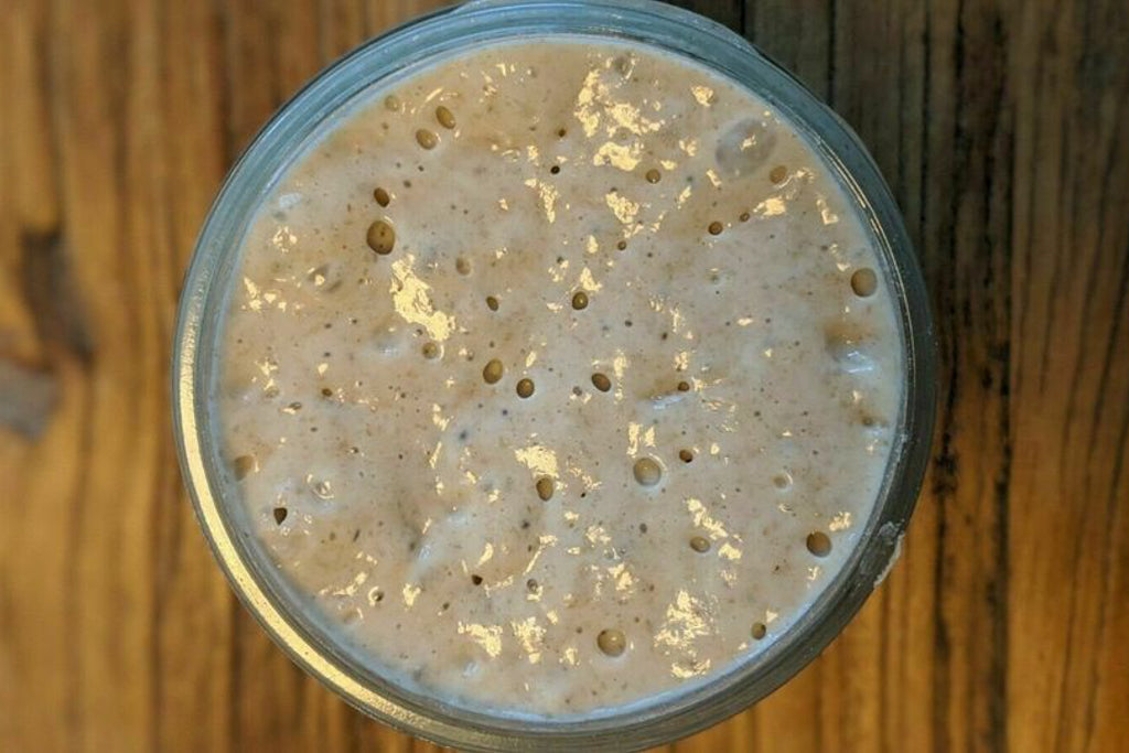 bubbling sourdough starter