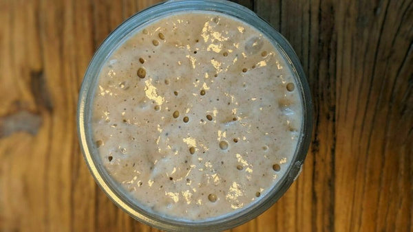 bubbling sourdough starter top down