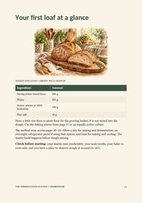 The Complete Beginner's Guide to Sourdough - Digital eBook